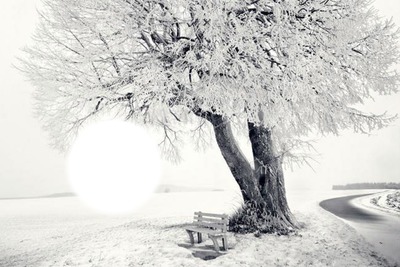 winter Фотомонтажа