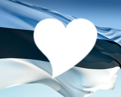 Estonia flag Photomontage