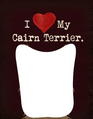 I love my cairn terrier Fotomontage