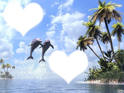 Coeurs - dauphins sautant hors de l'eau Φωτομοντάζ
