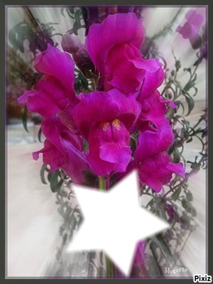 Beautée des fleurs* Photo frame effect