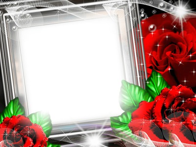 розы Photo frame effect