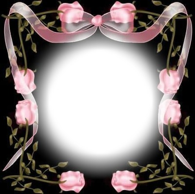 bright pink roses Photo frame effect