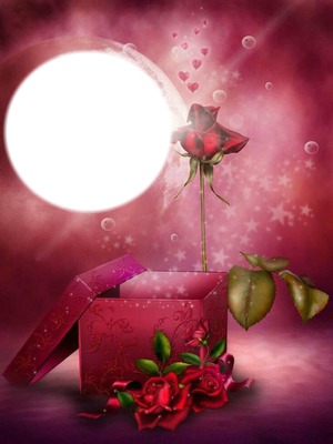 rose box Fotomontāža