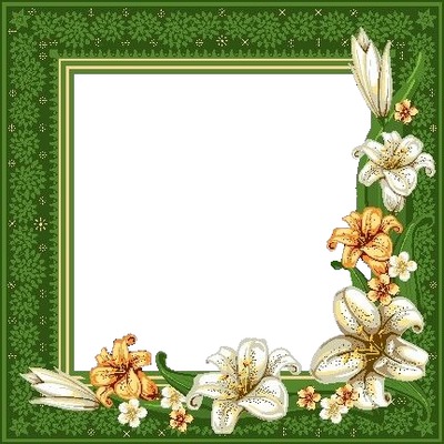 marco verde y flores blancas. Fotomontaggio