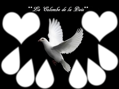 La colombe de la Paix Fotoğraf editörü