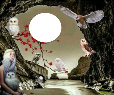 happy owls Fotomontage