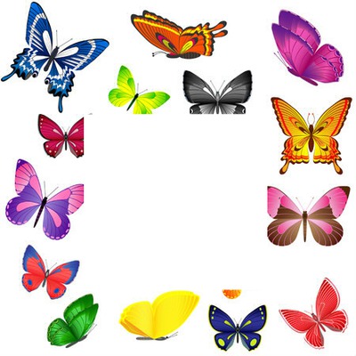papillons 1 photo Fotomontaggio