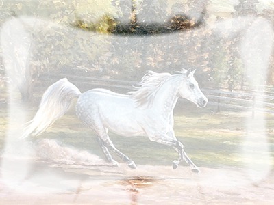 cheval Fotomontasje