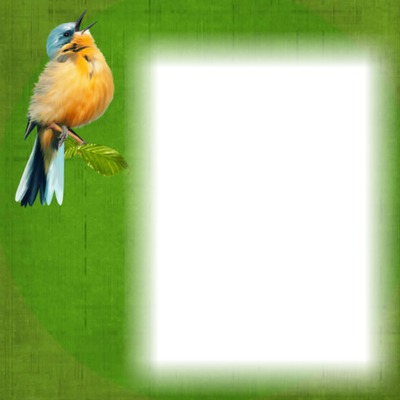 cadre oiseau Photomontage
