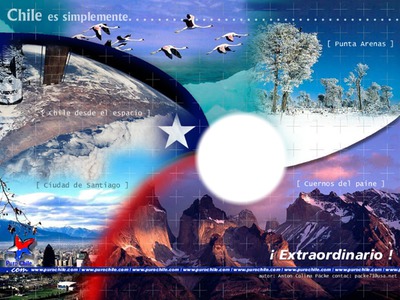 VIVA CHILE Fotomontage