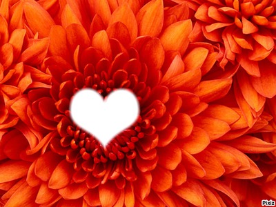 Coeur dans une fleur Photo frame effect