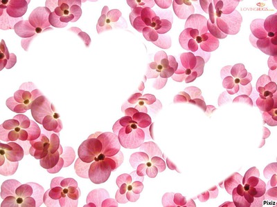 flores rosas Fotomontagem