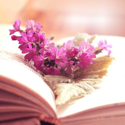 livre et fleurs Фотомонтаж
