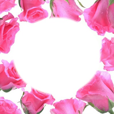 cadre fleur rose Fotomontāža