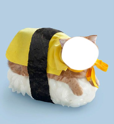 Sushi cat Photomontage