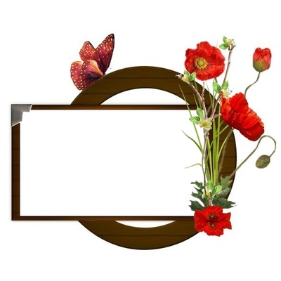marco y flores rojas. Fotomontage