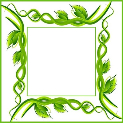 marco y ramas verdes. Photomontage