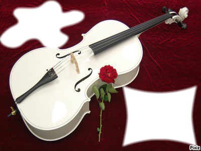 violon blanc avec une rose rouge