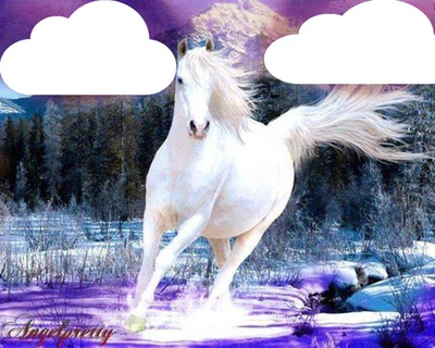un cheval blanc 2 photos Fotomontage