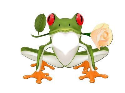 frog Fotomontaggio