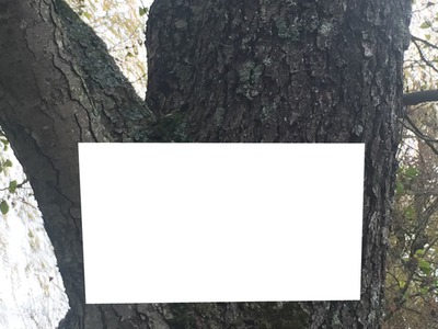 arbre Fotomontáž