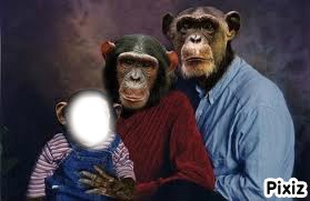 famille singe Photomontage