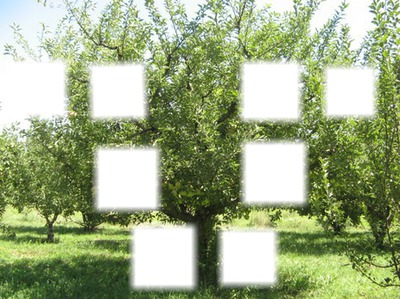 arbol genealogico Fotomontáž