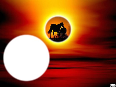 chevaux & soleil couchent Photo frame effect