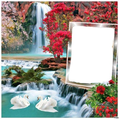 renewilly cascada cisnes flores y foto Photo frame effect