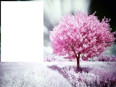 arbol rosa Fotomontagem