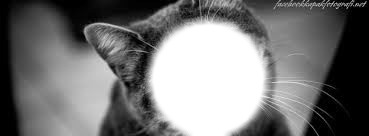 kedi yüzlü senii Montaje fotografico