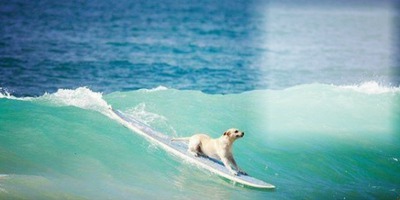 surf Fotomontāža