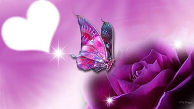 amour de papillon Φωτομοντάζ