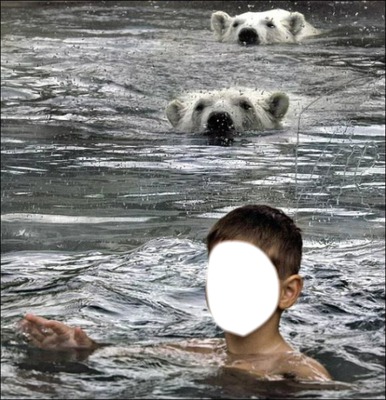 enfant ours Photomontage