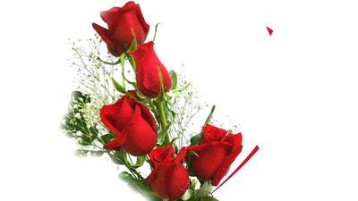 déclaration d'amour avec bouquet de rose 1 photo cadre Fotomontaggio