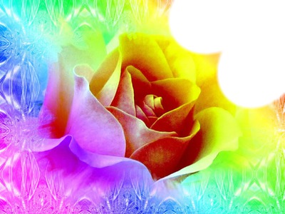 rose multicolore Фотомонтажа