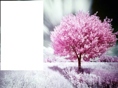 arbol rosa Fotomontagem