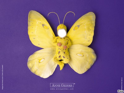 bébé papillon jaune Fotomontasje