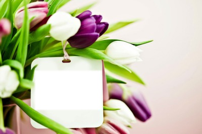 çiçekler diyarı Fotomontage