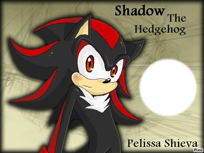 shadow Fotoğraf editörü