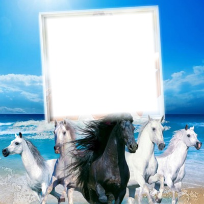 Cadre chevaux Photomontage