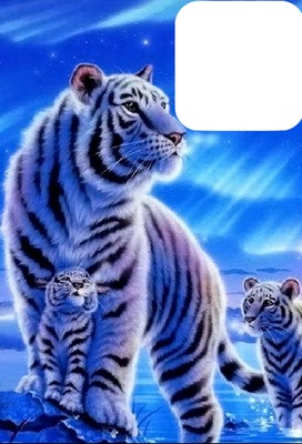 Maman tigre Blanc Fotomontage