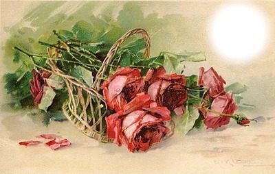 Розы Photo frame effect