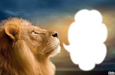 Lion avec bulle Фотомонтаж