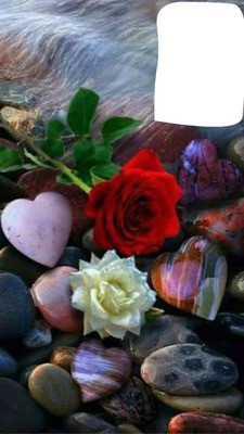 corazon con rosa Fotomontage