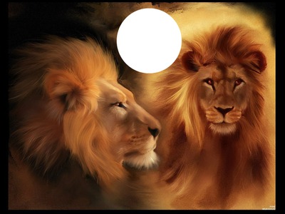 etchegoyen lion Photomontage