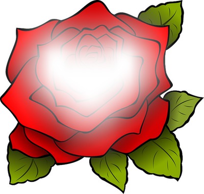 Róża Valokuvamontaasi