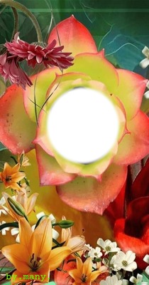 Flowers Fotomontage