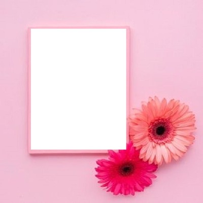 marco rosado y flores. Montaje fotografico